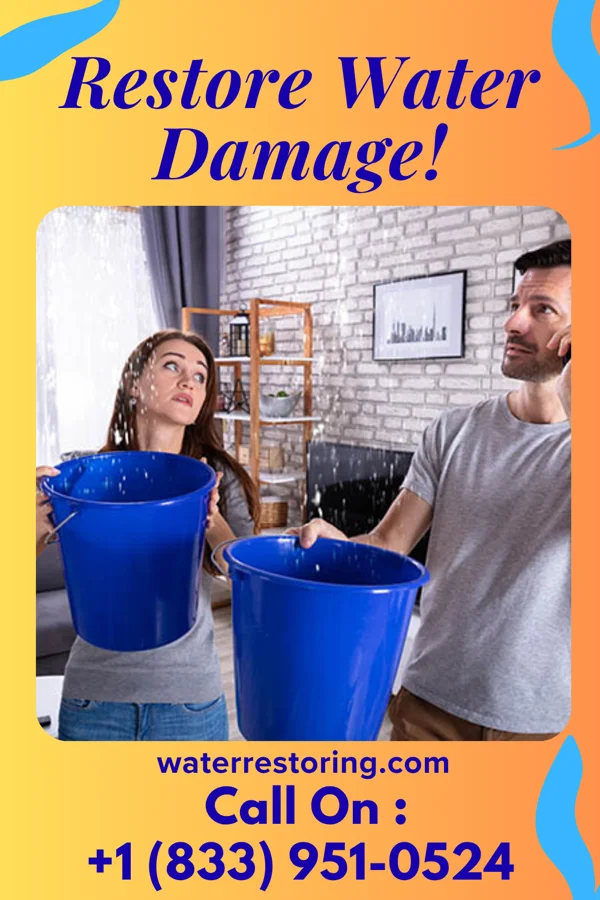 water restoration Galaxy Extraction Team Northville