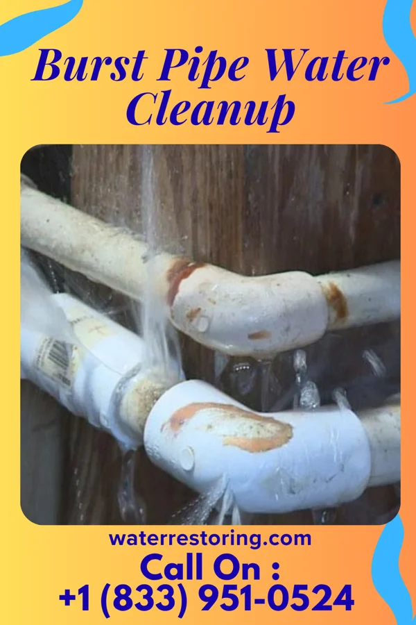 Burst Pipe Water Cleanup in Northville, MI