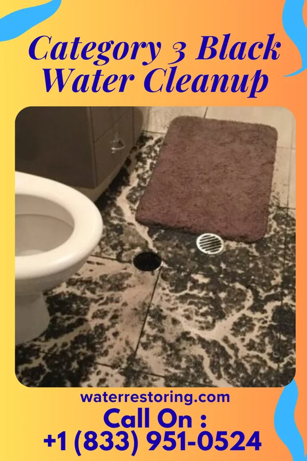 Category 3 Black Water Cleanup in Northville, MI