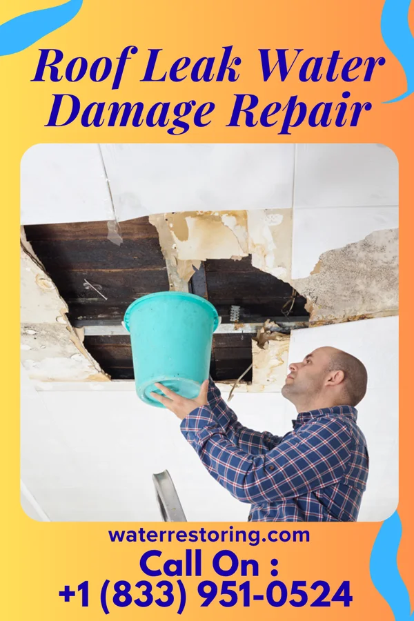 Roof Leak Water Damage Repair in Northville, MI