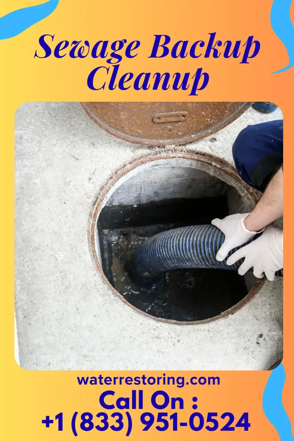 Sewage Backup Cleanup in Northville, MI