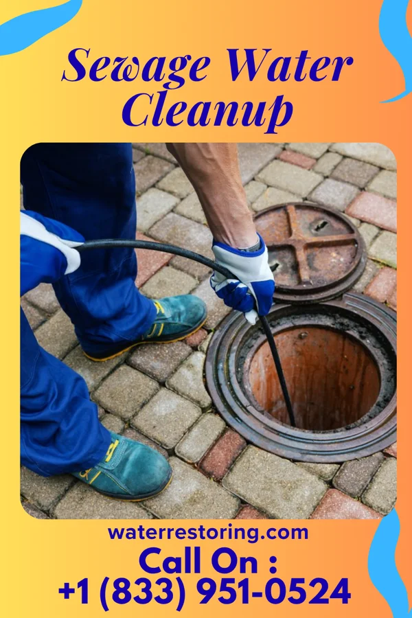 Sewage Water Cleanup in Northville, MI
