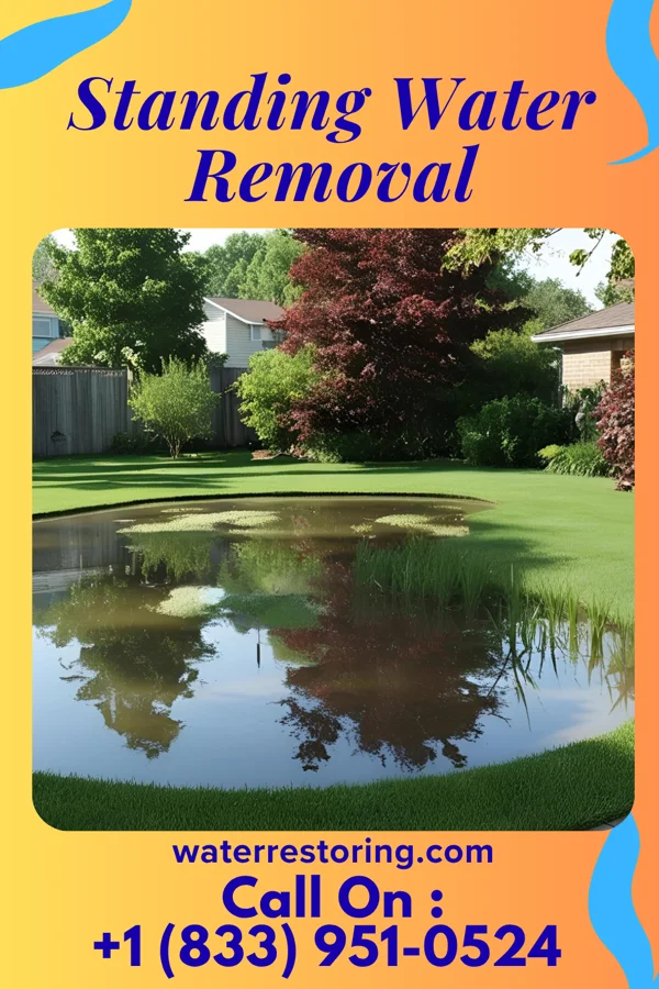Standing Water Removal in Northville, MI